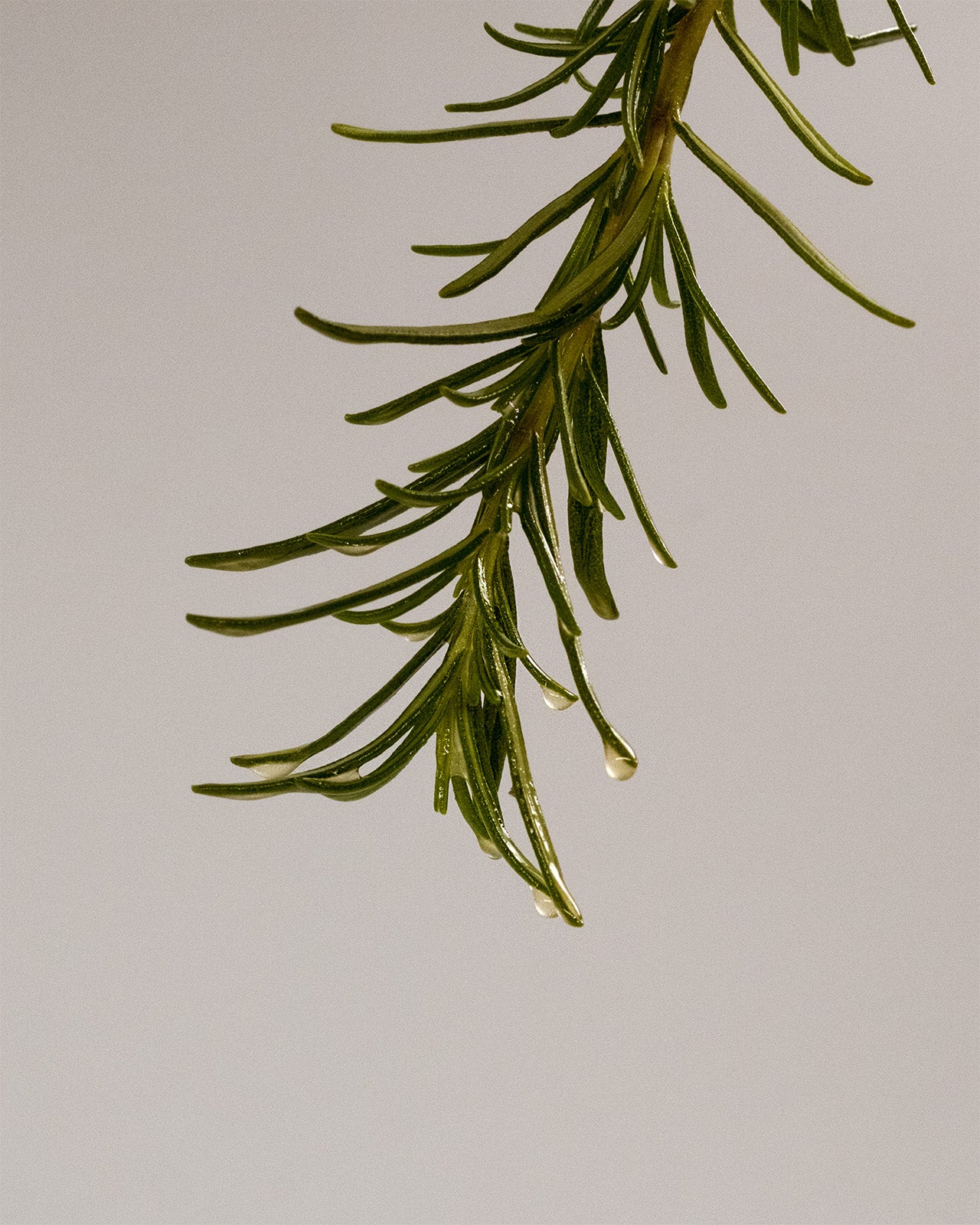 Kapitel II: Zwei-Phasen-Serum