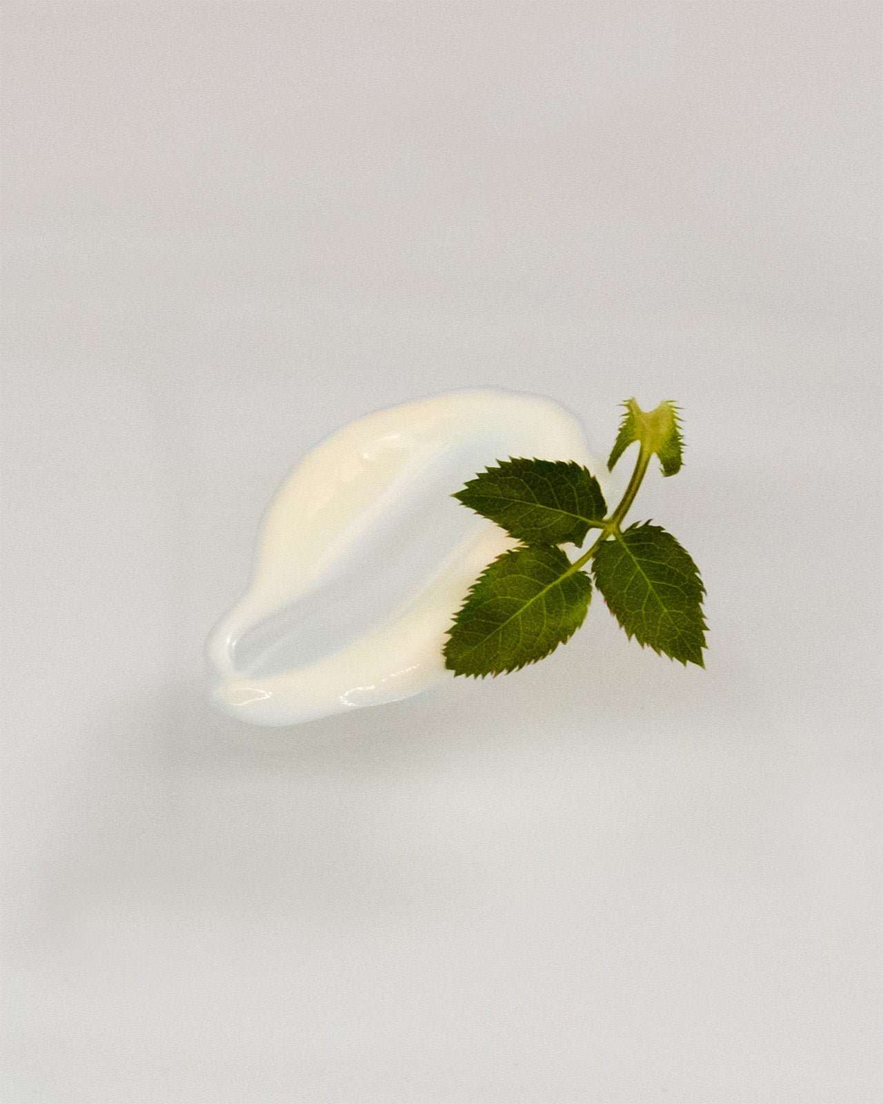 Kapitel III: Tagescreme