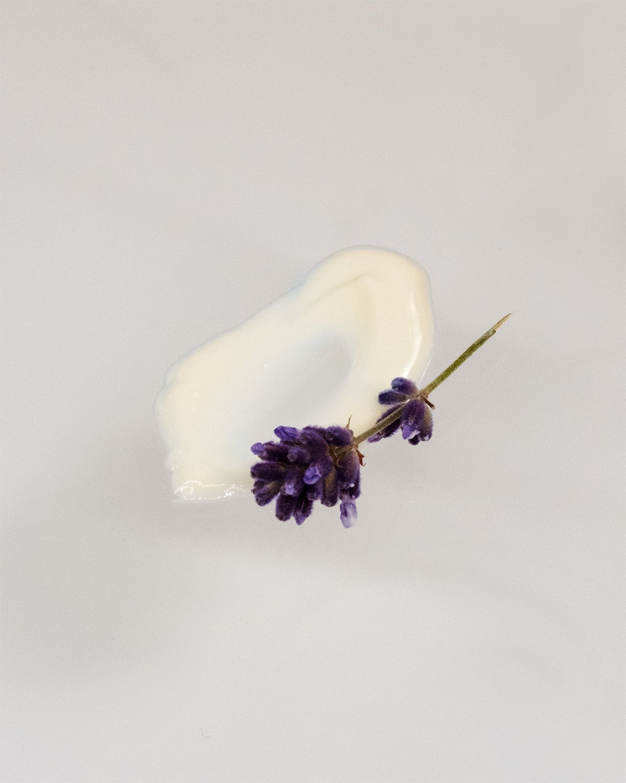 Kapitel IV: Nachtcreme